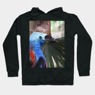 Cassowary Hoodie